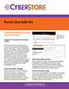 CyberStore - PunchOut Fact Sheet